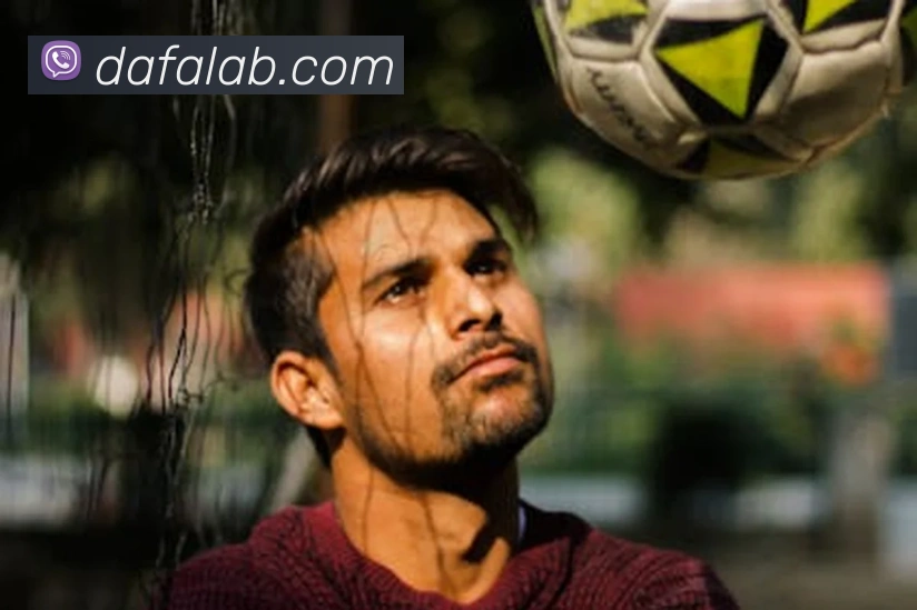 大发娱乐平台生态图